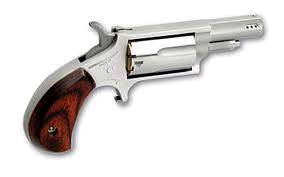 NAA Mini-Revolver Ported .22 Mag 5rd Stainless